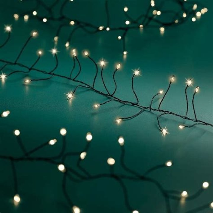 How many kids does Dex Carvey have? - SarkariResult