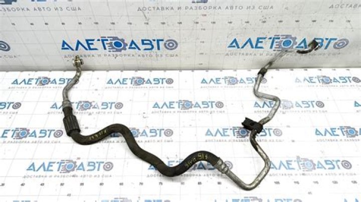 Does Gangs of Sherwood Support Crossplay? Easy Explanation on Compatibility - SarkariResult