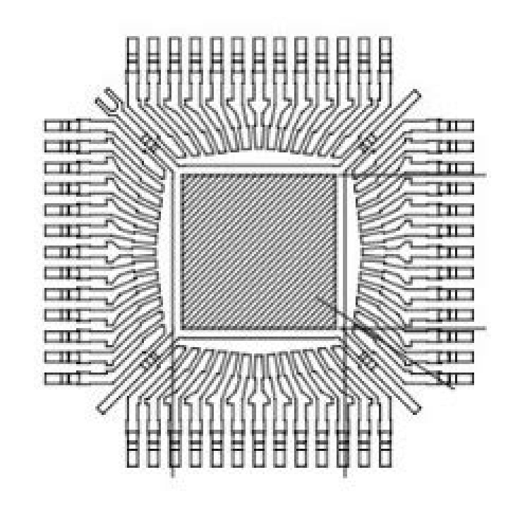 Brooke Gomez Obituary & Cause Of Death: Who Was Brooke Gomez? What Happened to Brooke Gomez? - SarkariResult