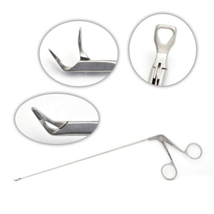 Is Popeyes Open On Christmas - SarkariResult