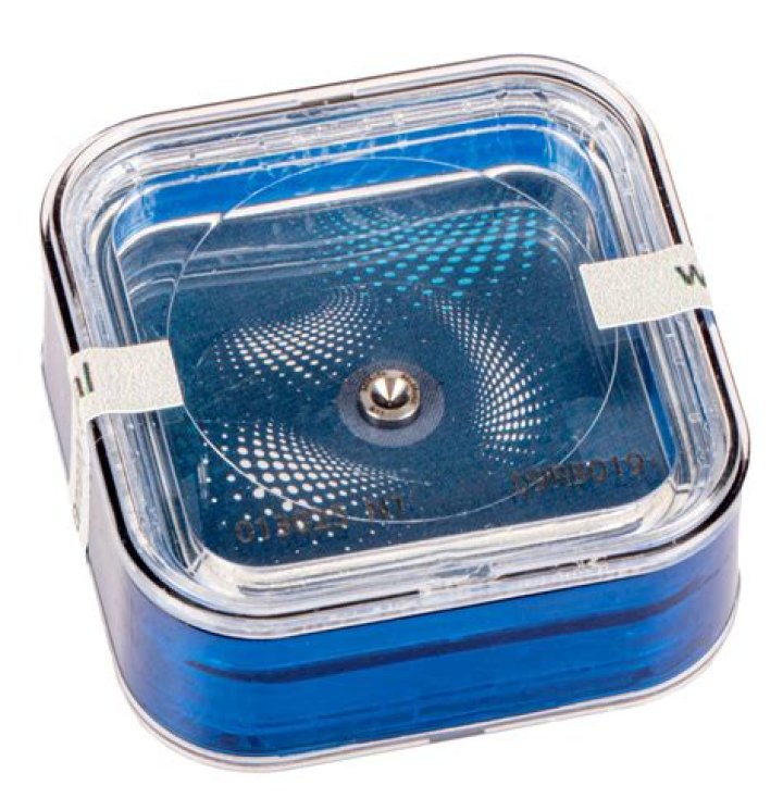 Chili's Kids Menu and Prices - SarkariResult