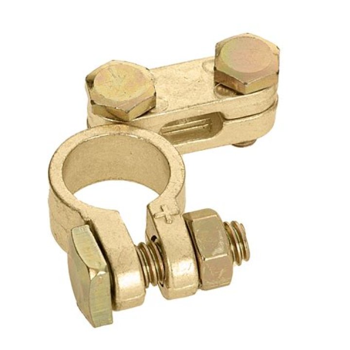 What is Drew Timme up to these days? Learn about his career, family, girlfriend, and more. - SarkariResult