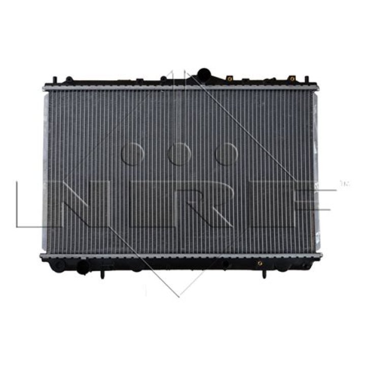 When is the Rockefeller Tree Lighting in 2023? Learn about Its Features, History, Hosts, and Guests. - SarkariResult