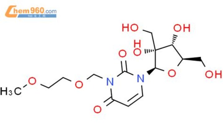 Fuddruckers Menu and Prices - SarkariResult