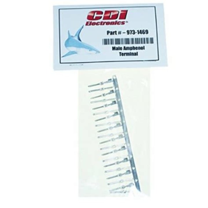 Are Michelle and Callum Still a Couple? Get to Know Michelle and Callum's Relationship - SarkariResult