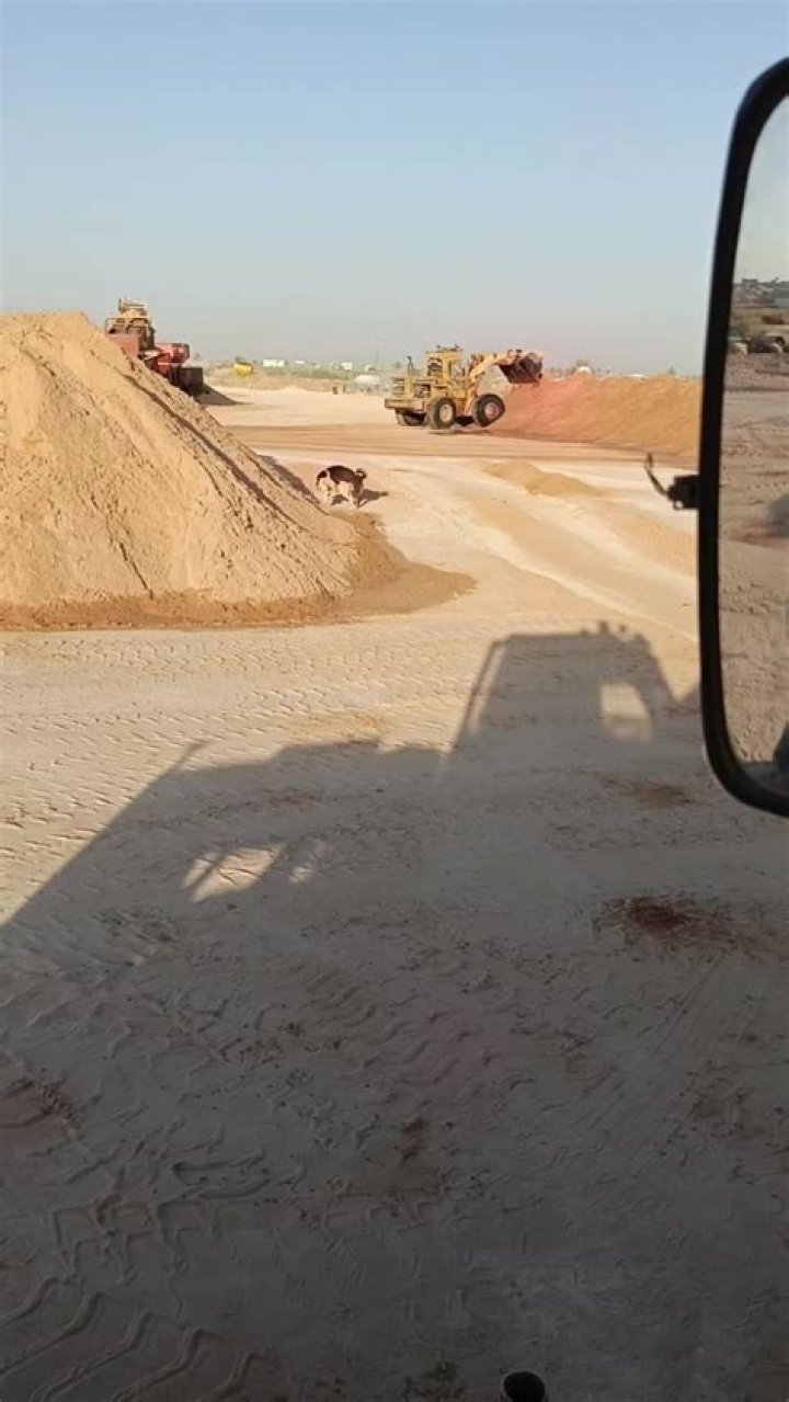 How to Fix Blade and Sorcery Nomad Not Loading? - SarkariResult