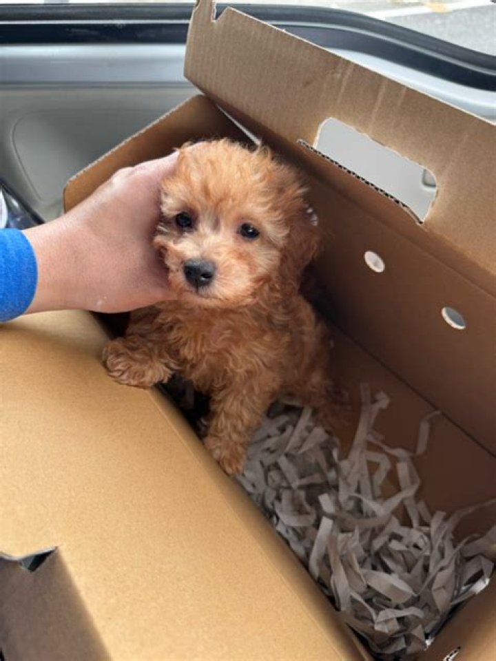 Is Larry Korchinski Alive? What's the Latest on Larry Korchinski? - SarkariResult