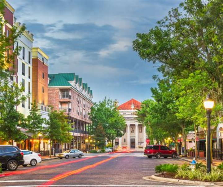 What's Going On with JoCat? Exploring the Current Status of JoCat - SarkariResult