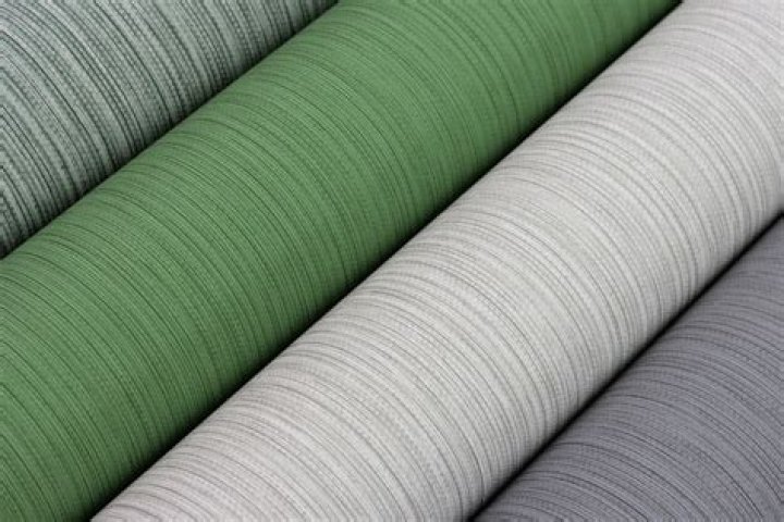 Sameer Rizvi Height: What is The Hight of Sameer Rizvi? - SarkariResult