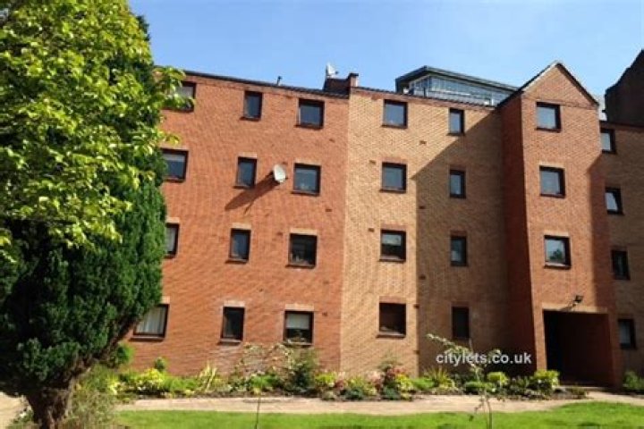 LEGO Fortnite: Discover the Best Foods and Drinks - SarkariResult