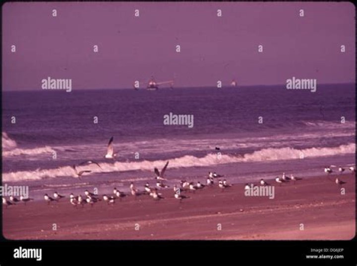 CPP Payment Dates 2024: Canada Pension Payment Online Schedule - SarkariResult