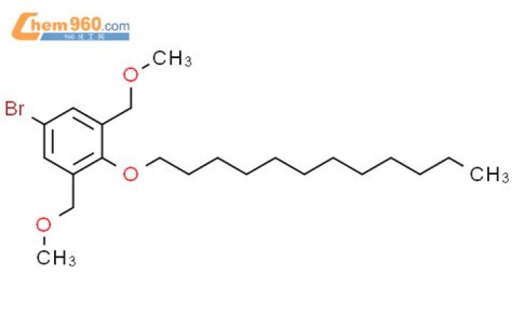 My Landlady Noona Chapter 122 Release Date : Recap, Cast, Review, Spoilers, Streaming, Schedule & Where To Watch? - SarkariResult