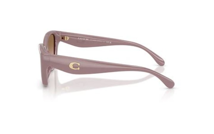 How to Fix Wawa App Not Working Issue? - SarkariResult