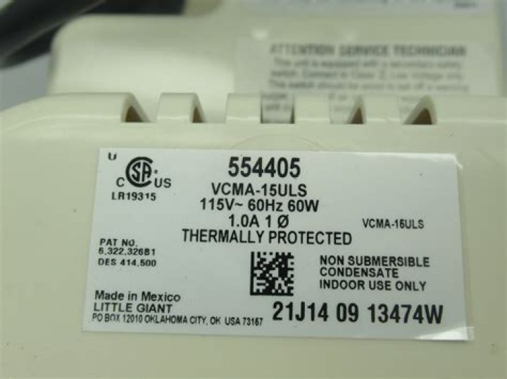 Everton Soares Net Worth: Career, Home, Age, Income, All You Need to Know - SarkariResult