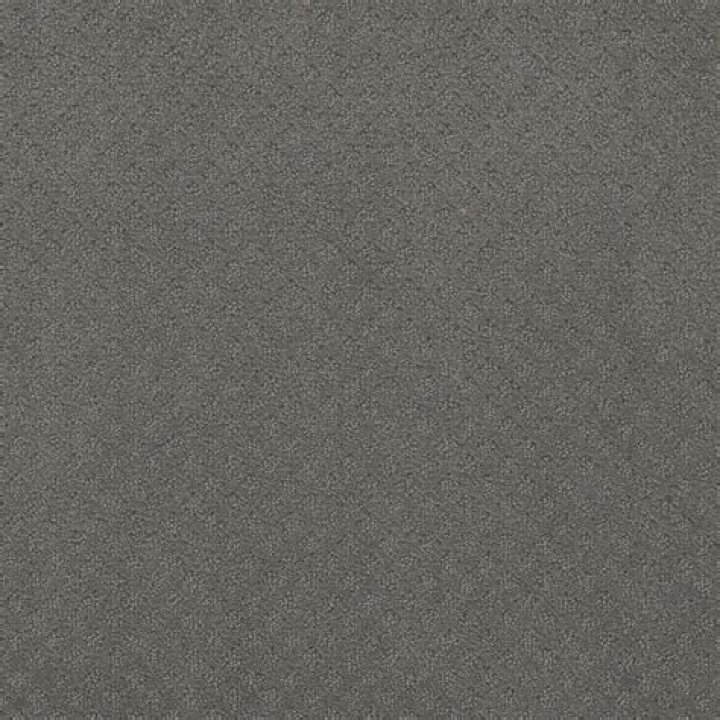 Tom Rogers Net Worth: Career, Home, Age, Income, All You Need to Know - SarkariResult