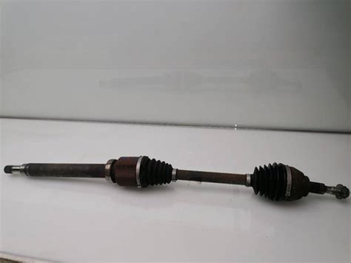 Preston Wise's Obituary & Cause Of Death, Who Was Preston Wise? What Happened to Preston Wise? - SarkariResult