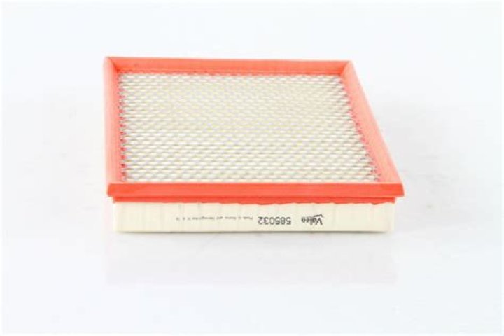 Holly Thomas's Obituary & Cause Of Death, Who Was Holly Thomas? What Happened to Holly Thomas? - SarkariResult