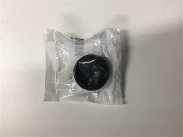 Fiona Shaw Children: Meet Her Daughters Eliza And Jesse - SarkariResult