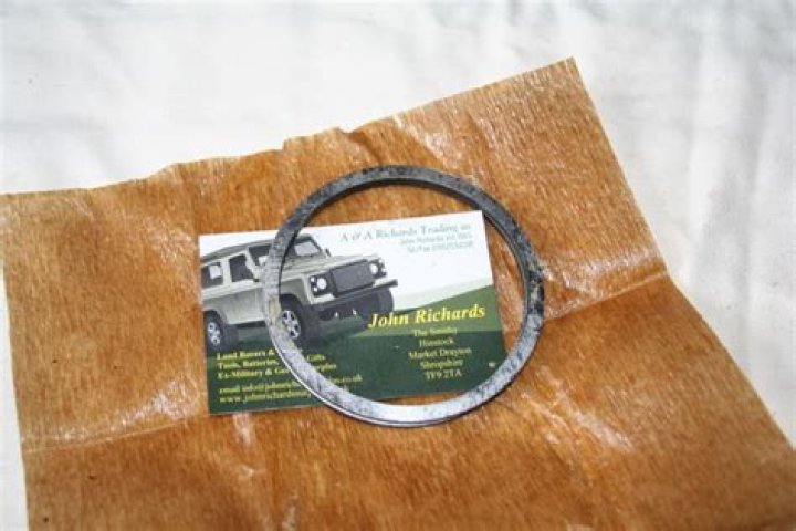 Pardis Saremi Ethnicity And Religion, Is American Actress Christian? - SarkariResult