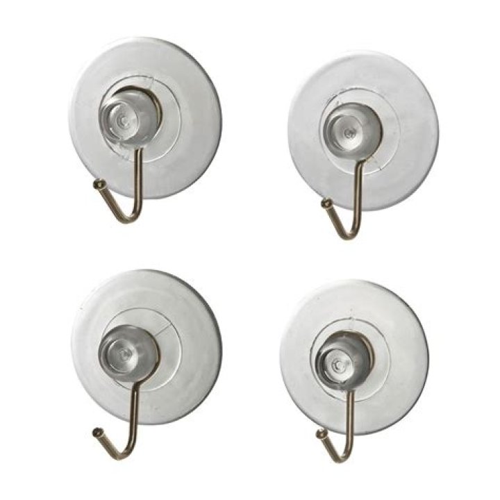 Sarah Illustrates Divorce Alexander Caldeira, Is She Divorcing Husband Alexander Caldeira? - SarkariResult