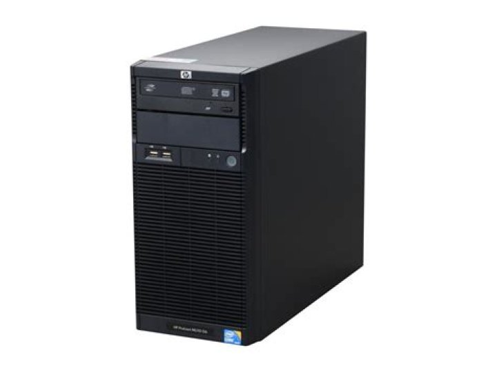 What Ethnicity is Bernice Burgos: Latino or of Puerto Rican Heritage? - SarkariResult