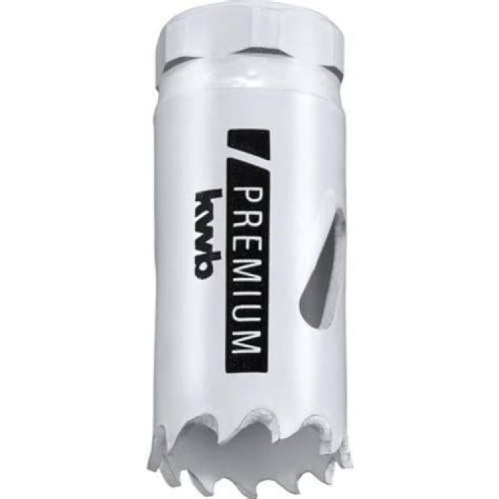 Danielle Gray Motorcycle Accident: What Happened To Danielle Gray? Who is Danielle Gray? - SarkariResult