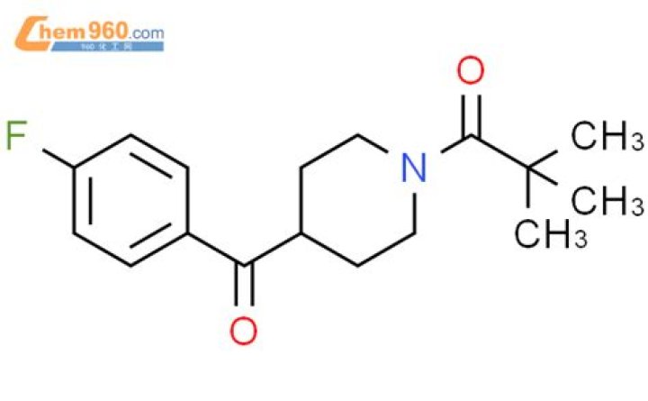 R6 Siege Update 1.000.073 Patch Notes: New Updates & Improvements - SarkariResult