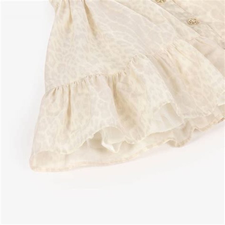 SA Daily Lotto Results Today For 29 Feb 2024 - SarkariResult