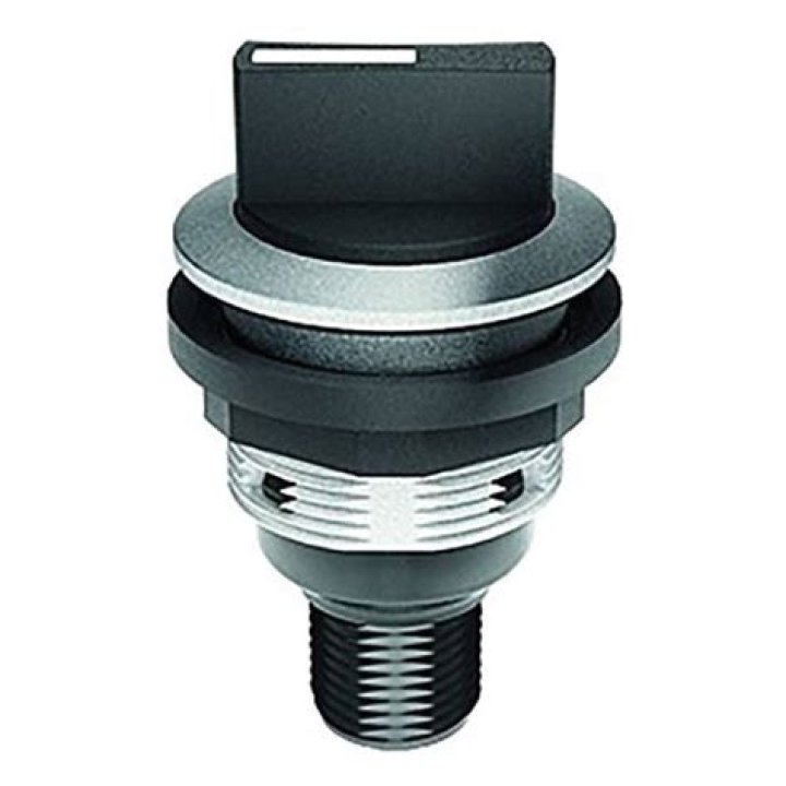 Is Annika Noelle Pregnant? Is She Expecting Baby? Who is Annika Noelle? - SarkariResult