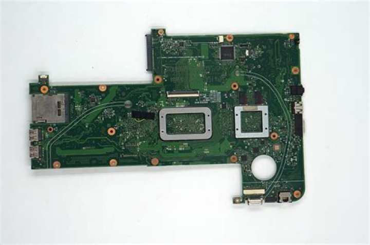 Elsbeth Cast And Character Guide : Who Plays Who In The CBS Series? - SarkariResult