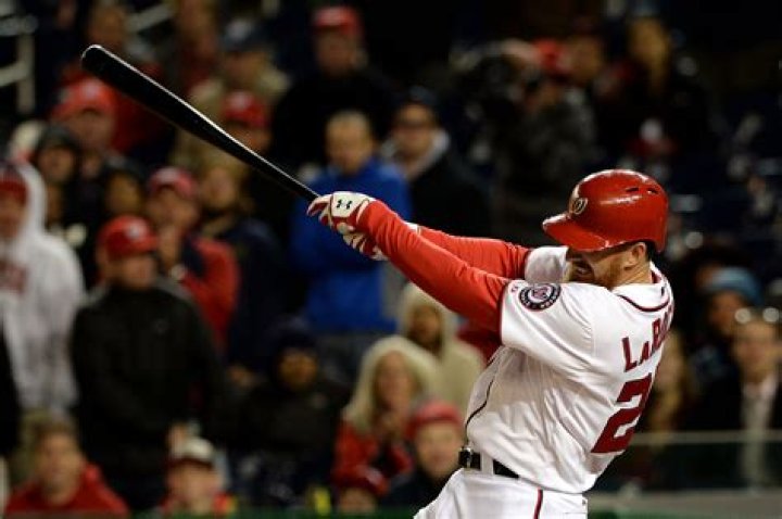 Adam LaRoche Net Worth