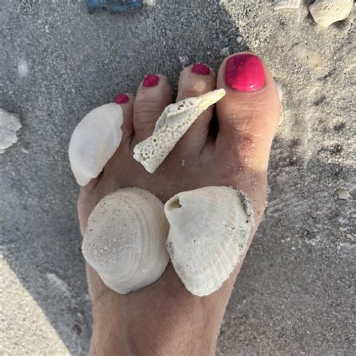 Alice Stockton Rossini Net Worth