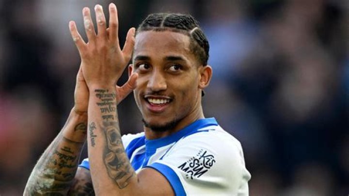 Andrade Jr. Net Worth