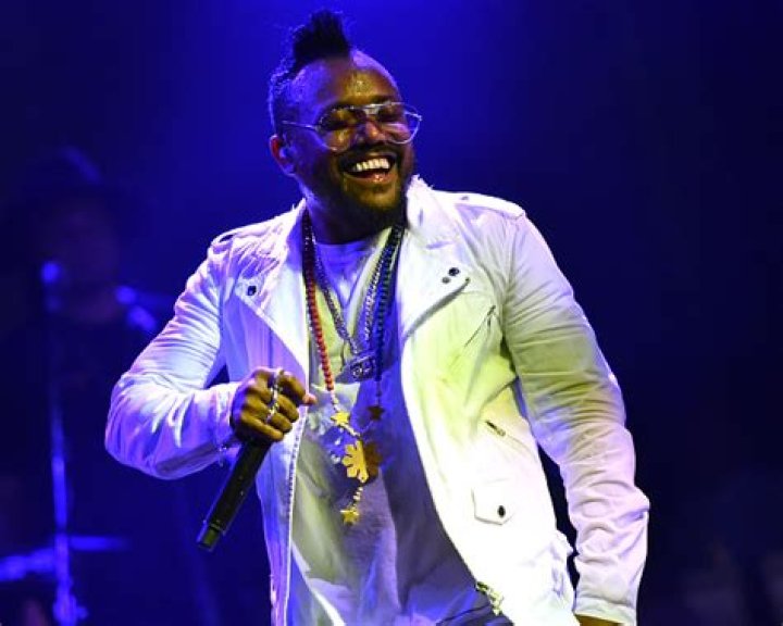 Apl.de.Ap Net Worth