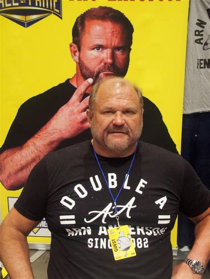 Arn Anderson Net Worth