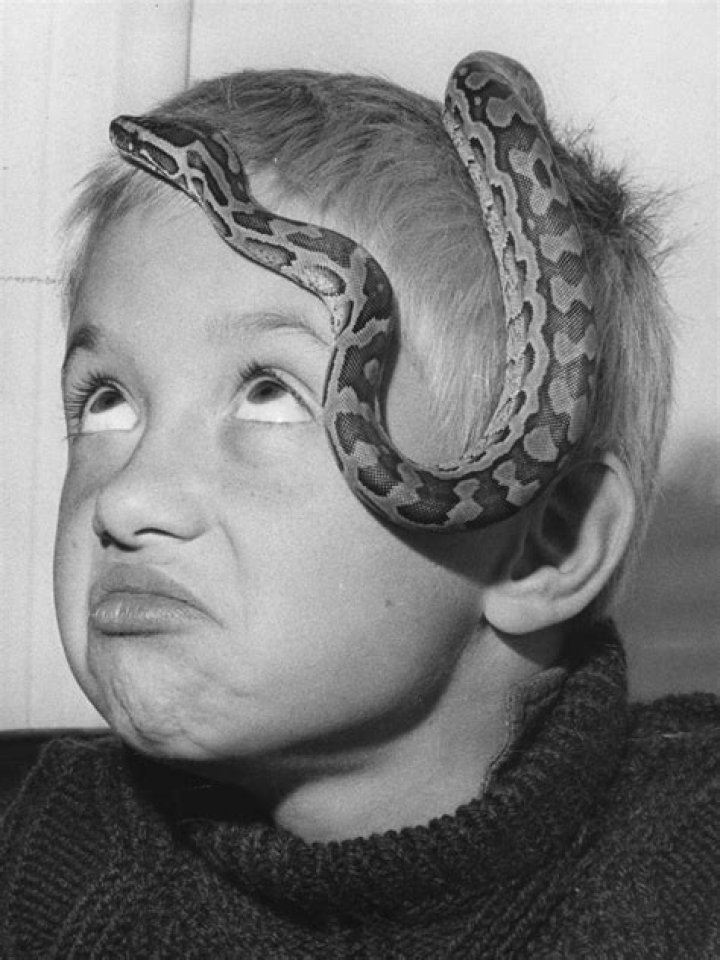 Barry Miller Net Worth