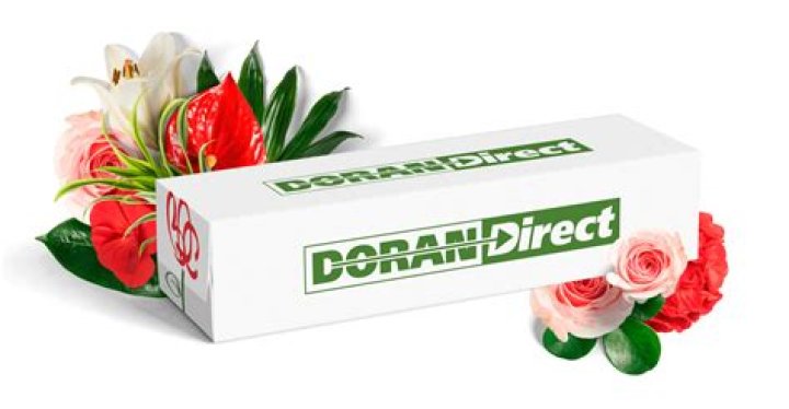 Bill Doran (second baseman)