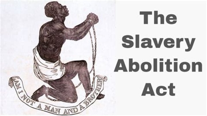 
Britain Played With Africa Through Slavery But It Is Wrong To Blame The Queen For It- Waziri Adio 