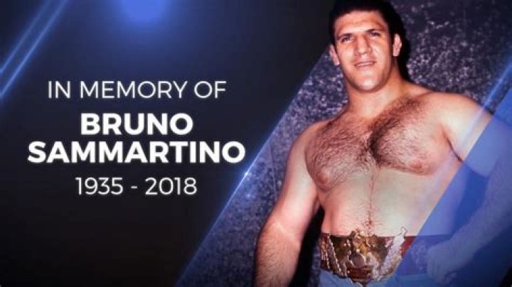 Bruno Sammartino Cause of Death, How did Bruno Sammartino Die?