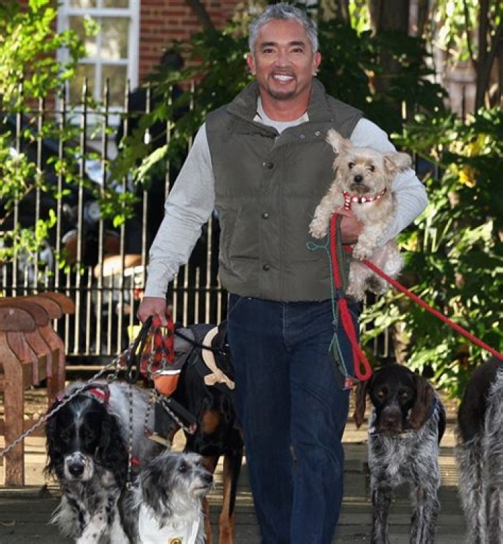 Cesar Millan Net Worth