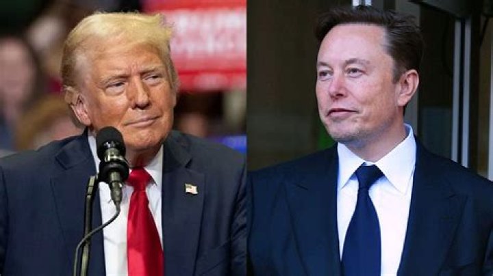 CNN Journalist Holly Thomas Writes A Piece On Trump and Elon Musk, Here Is What We Know About Her