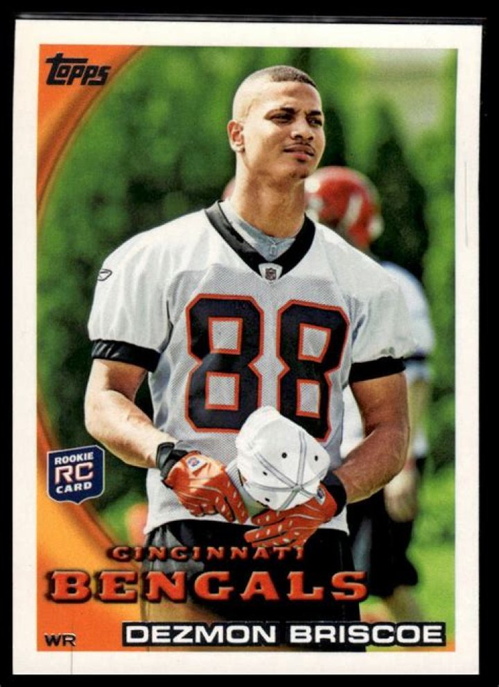 Dezmon Briscoe Net Worth