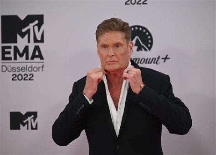 Does David Hasselhoff Wear A Wig? He Has A Disease, Just Like Cancer, Death Rumors Explained