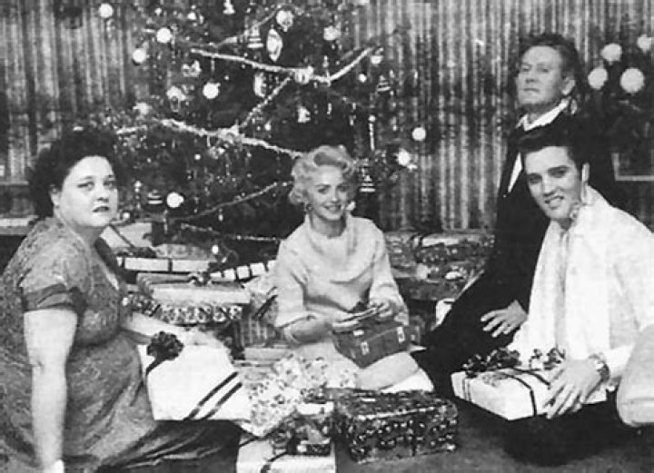 Dottie Harmony Net Worth