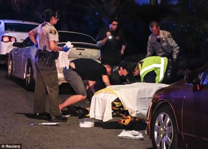 
Elliot Rodger Cause of Death, How did Elliot Rodger Die? 