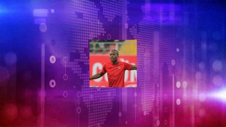 Errol Stevens Net Worth