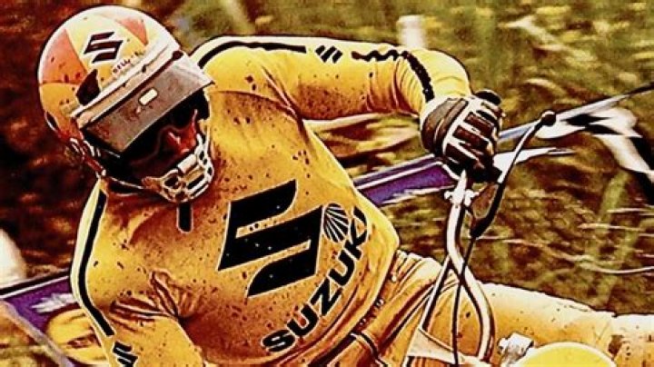 Gerrit Wolsink Net Worth