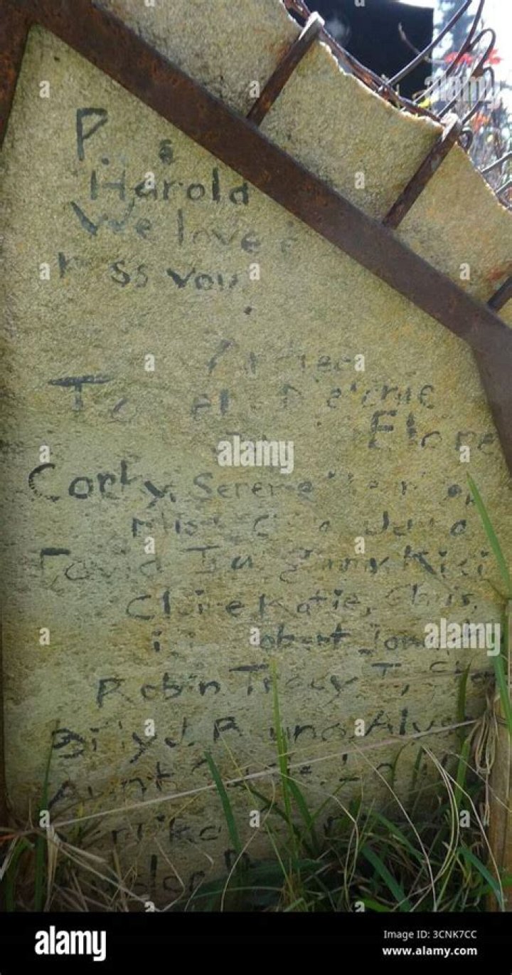 Harold Pruett Net Worth