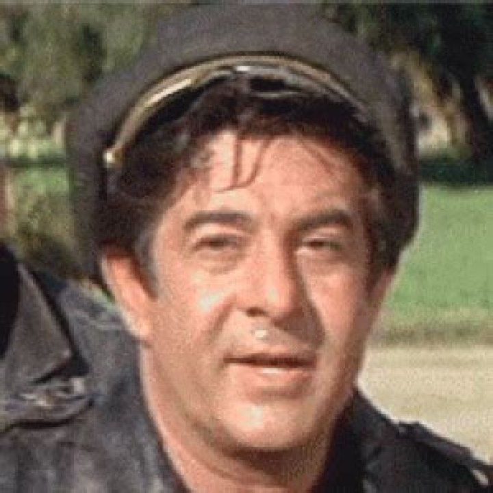 Harvey Lembeck Net Worth