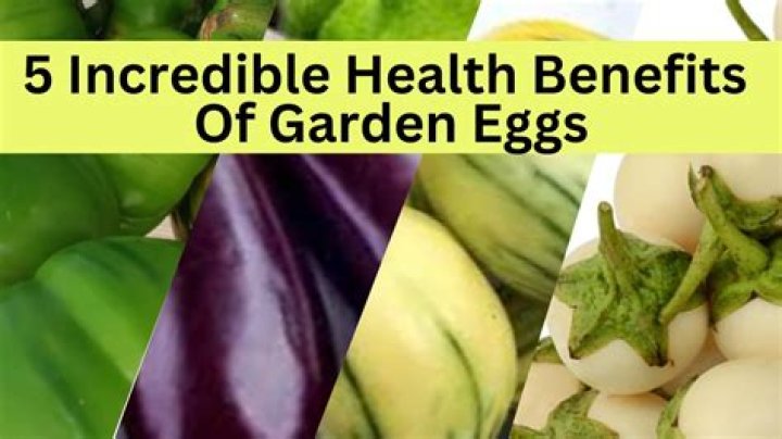 Health Benefits Of Eating Garden Egg